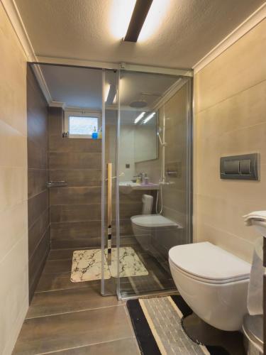 a bathroom with a shower with a toilet and a sink at Elitee Superior Mountain Residence in Vitina