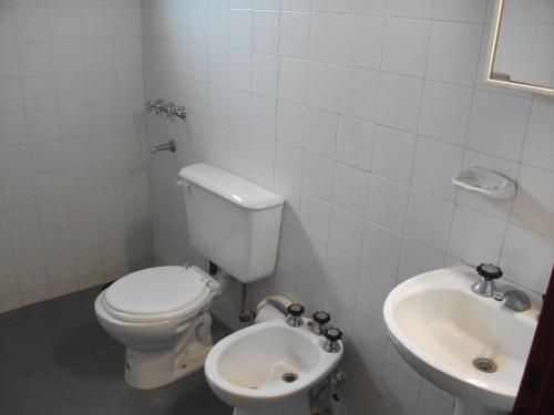 a bathroom with a toilet and a sink at San Isidro Cabaña in Mendoza