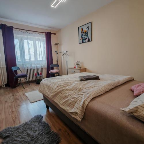a bedroom with a large bed and two chairs at Magic Apartments 2 in Miercurea-Ciuc