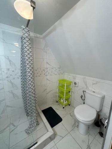 a bathroom with a toilet and a glass shower at Hostinec Na hrázi in Hamr na Jezeře