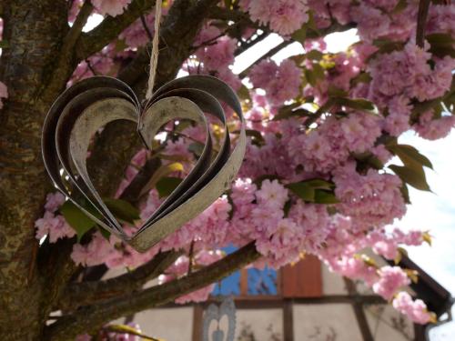 a heart hanging from a tree with pink flowers at Hissele in Hilsenheim