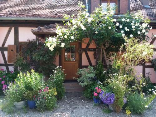 a bunch of flowers in front of a house at Hissele in Hilsenheim