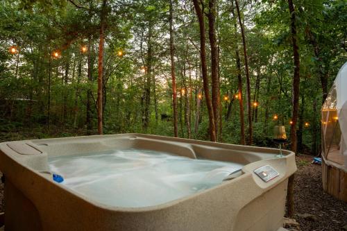 a bath tub in the woods with a forest at Campfire Hollow in Eagle Rock