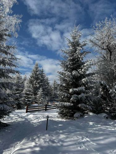a snow covered yard with trees and a fence at Guta Weekend in Guta