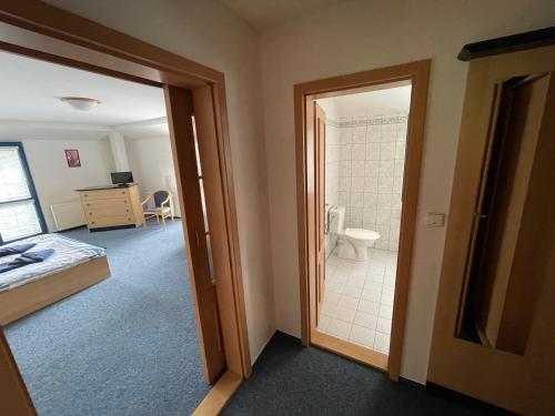 a room with a bathroom with a toilet and a bedroom at U Konupy in Ober Lindewiese