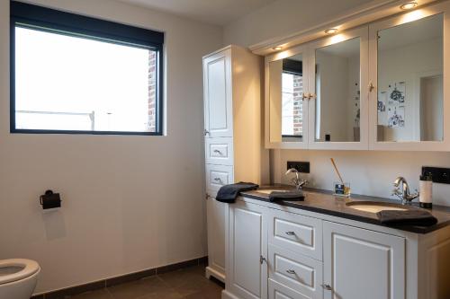 a bathroom with a sink and a toilet at Vakantiehoeve Breathe Nature in Lochristi