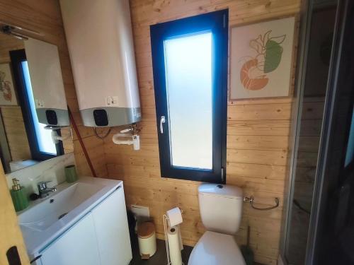 a bathroom with a toilet and a sink and a window at chalet bohème au calme in Saint-Ambreuil