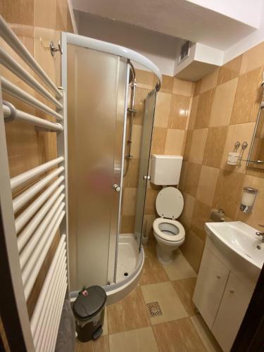 a bathroom with a shower and a toilet and a sink at Casa Complex Borsa in Statjunea Borsa