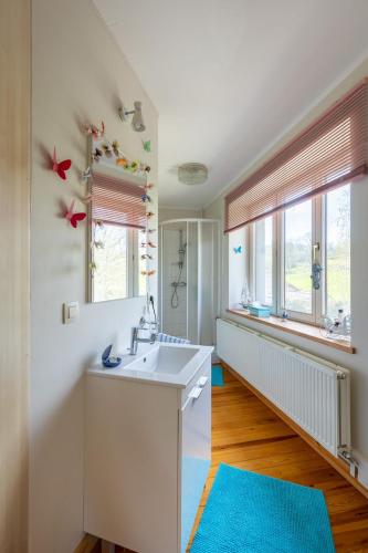 a bathroom with a sink and a mirror at Ferme du Banoyard in Theux