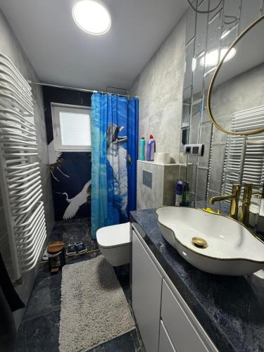 a bathroom with a sink and a toilet and a shower at Schelder Zimmer in Dillenburg