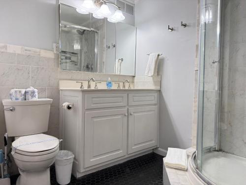 a bathroom with a toilet and a sink and a shower at Atlanta Downtown! 3 Unique Apartments Available! Onsite Parking in Atlanta