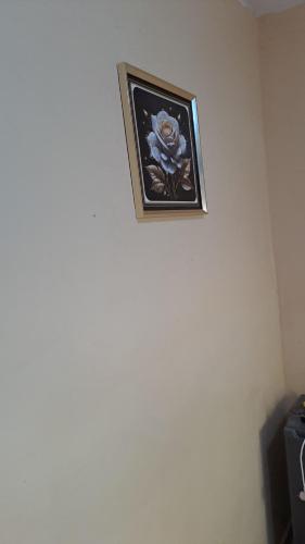 Gambar di galeri bagi Muzz house di Dakar
