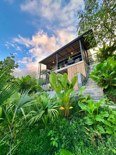 a house in the middle of a garden with plants at Cielo Abierto Cabaña Glamping in Quimbaya