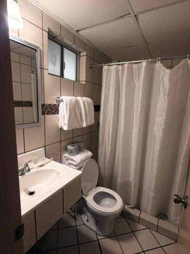 a bathroom with a toilet and a sink and a shower at Hotel Posada de Santiago in Tijuana