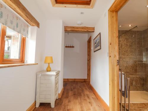 a bathroom with a shower and a white dresser at Stoney Cottage in Narberth