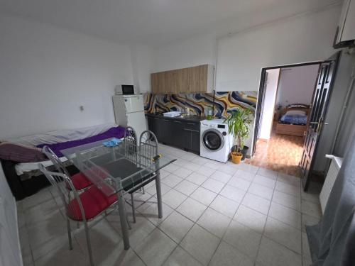 a kitchen with a table and a washing machine at Matei Apartament in Tîrnăveni