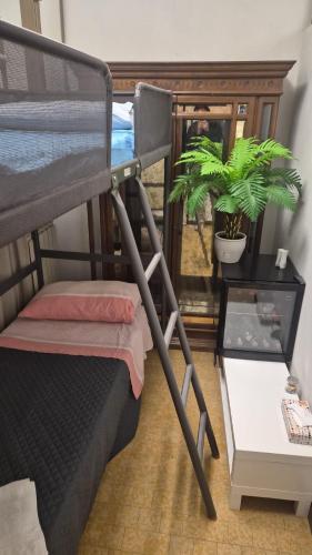 a dorm room with a bunk bed and a plant at Dimora ANETT B&B HOUSE in Codevigo