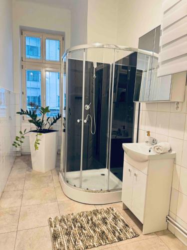 a bathroom with a shower and a sink at Ostrava Apartment in Ostrava