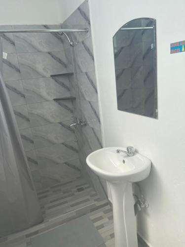 a bathroom with a sink and a shower and a mirror at Plata View Center Habitacion 2D in Monte Plata