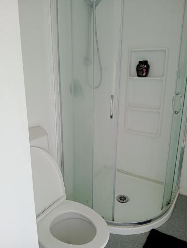 a bathroom with a white toilet and a shower at Budget shared accommodation holiday room spring city in Tauranga