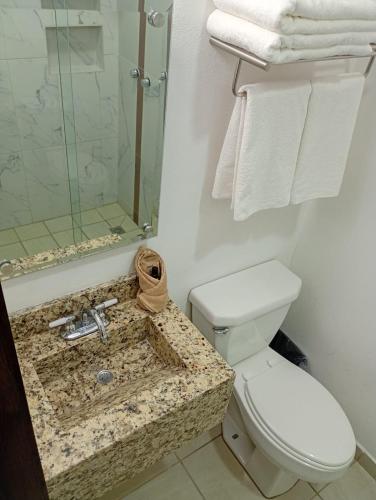 a bathroom with a toilet and a sink at Hotel RINCON RESORT TEQUILA in Tequila
