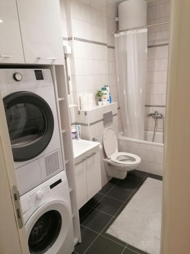 a bathroom with a washing machine and a toilet at Apartman 44, sa garažom, Mejdan Banja Luka in Banja Luka