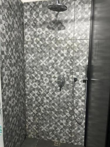 a shower in a bathroom with a tiled wall at Asha Hostel in Fortuna