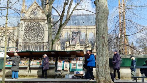 Gare Montparnasse 1mins,center, bd St Germain, 5mins Eiffel tour ,Notre Dame of Paris ,quartier Latin,amusing place