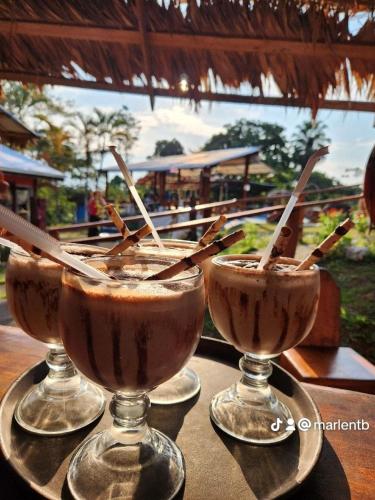 two glasses of chocolate milkshakes sitting on a table at Bocuare Jungle in Tapantí