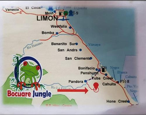 a map with a frog sitting on top of it at Bocuare Jungle in Tapantí