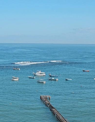 شقة فندقية لعشاق الذوق الرفيع Luxury Flat In Miami with panoramic sea views