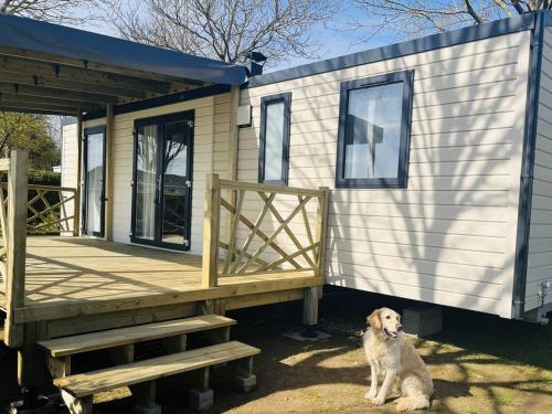 Mobil-home pour 6 personnes avec terrasse - API-1-52-1945