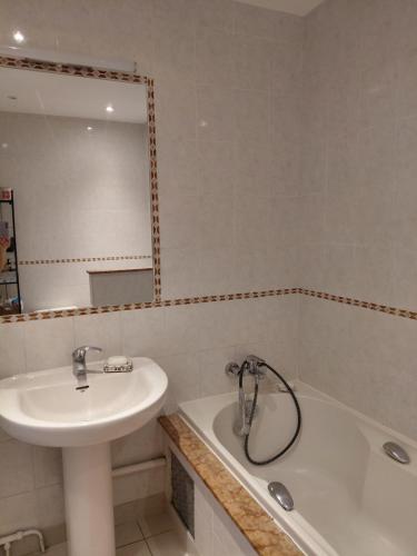 un bagno con un lavandino, uno specchio e una vasca di The Handy Flat a Grenoble
