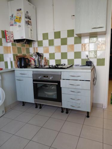 una cucina con piano cottura e forno di The Handy Flat a Grenoble