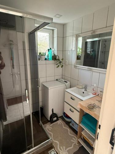 a bathroom with a shower and a sink at Ubytovanie Dana in Piešťany
