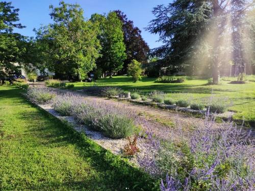 a garden with purple flowers in a park at Le Clos de la Commanderie in Amboise