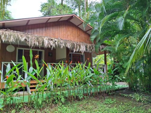 Casa ANA KIMBA