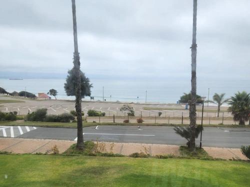 an empty street with two palm trees on a road at 13 at Santos in Mossel Bay