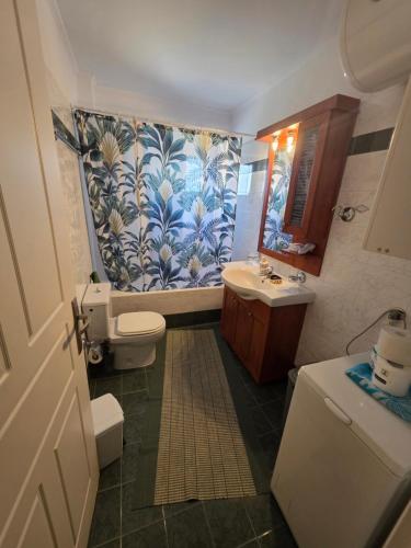 a bathroom with a toilet and a sink at Ariadni's Dreamhouse in Akrata