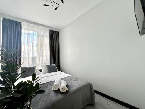 a bedroom with a bed and a large window at Апартаменти Парус Сіті in Lviv