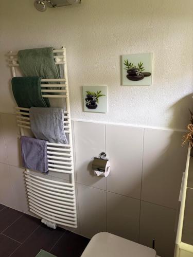 a bathroom with a towel rack next to a toilet at Apartment in der Au in Langkampfen