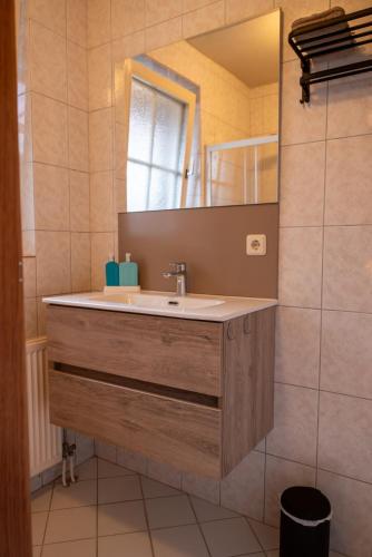 a bathroom with a sink and a mirror at Vakantiewoning de Hofmeier in Benteloo