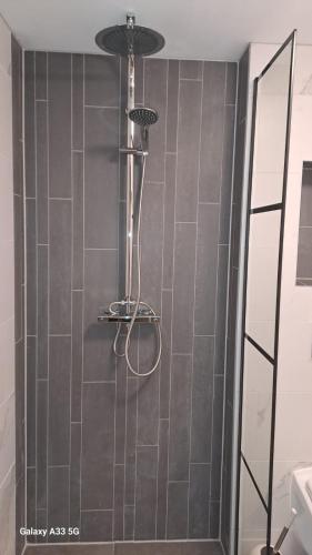 a shower in a bathroom with a gray tiled wall at B&B Het Oude Doktershuys in Minnertsga
