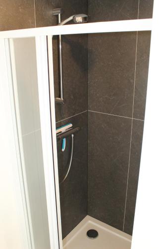 a shower with a glass door in a bathroom at Chalet vrijheid in Tjerkgaast