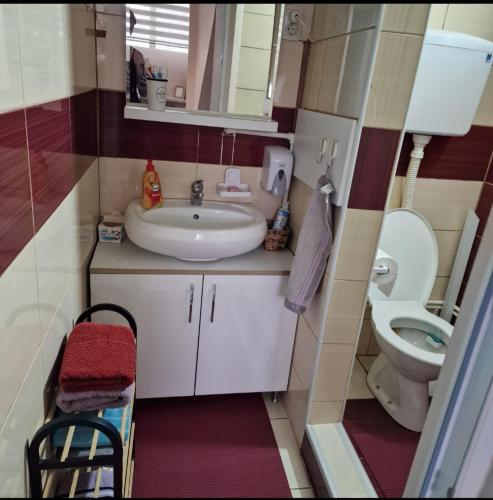 a small bathroom with a sink and a toilet at Square Apartment in Paraćin