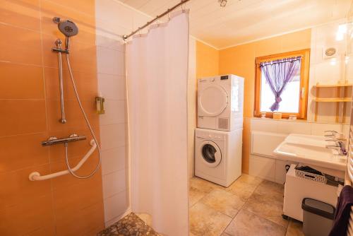 a bathroom with a washing machine and a sink at Gite du Brin d'Herbe in Pontarlier