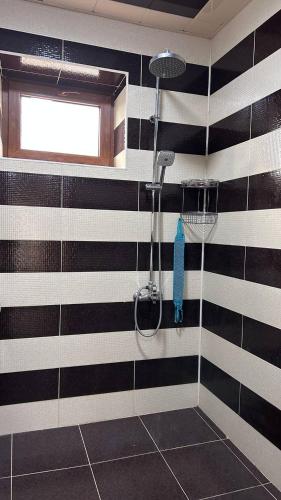 a shower in a bathroom with black and white stripes at Villa Nabran in Nabran