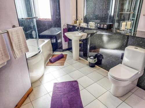 a bathroom with a toilet and a sink and a shower at Otter Cottage in Leverburgh