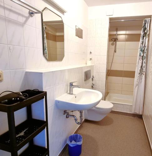 a bathroom with a sink and a toilet and a mirror at Boddenhof Apartment 56 - 2 SZ, freundlich, modern in Buschvitz