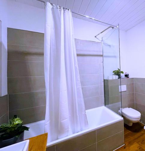 a bathroom with a shower curtain and a toilet at Apartmenthaus Schlosspark in Worms